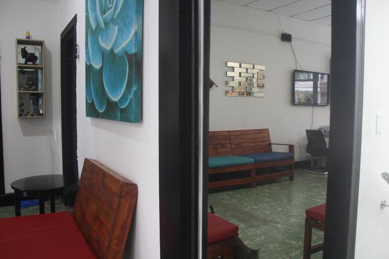 Eden'S Garden Hostel パナマ・シティー エクステリア 写真