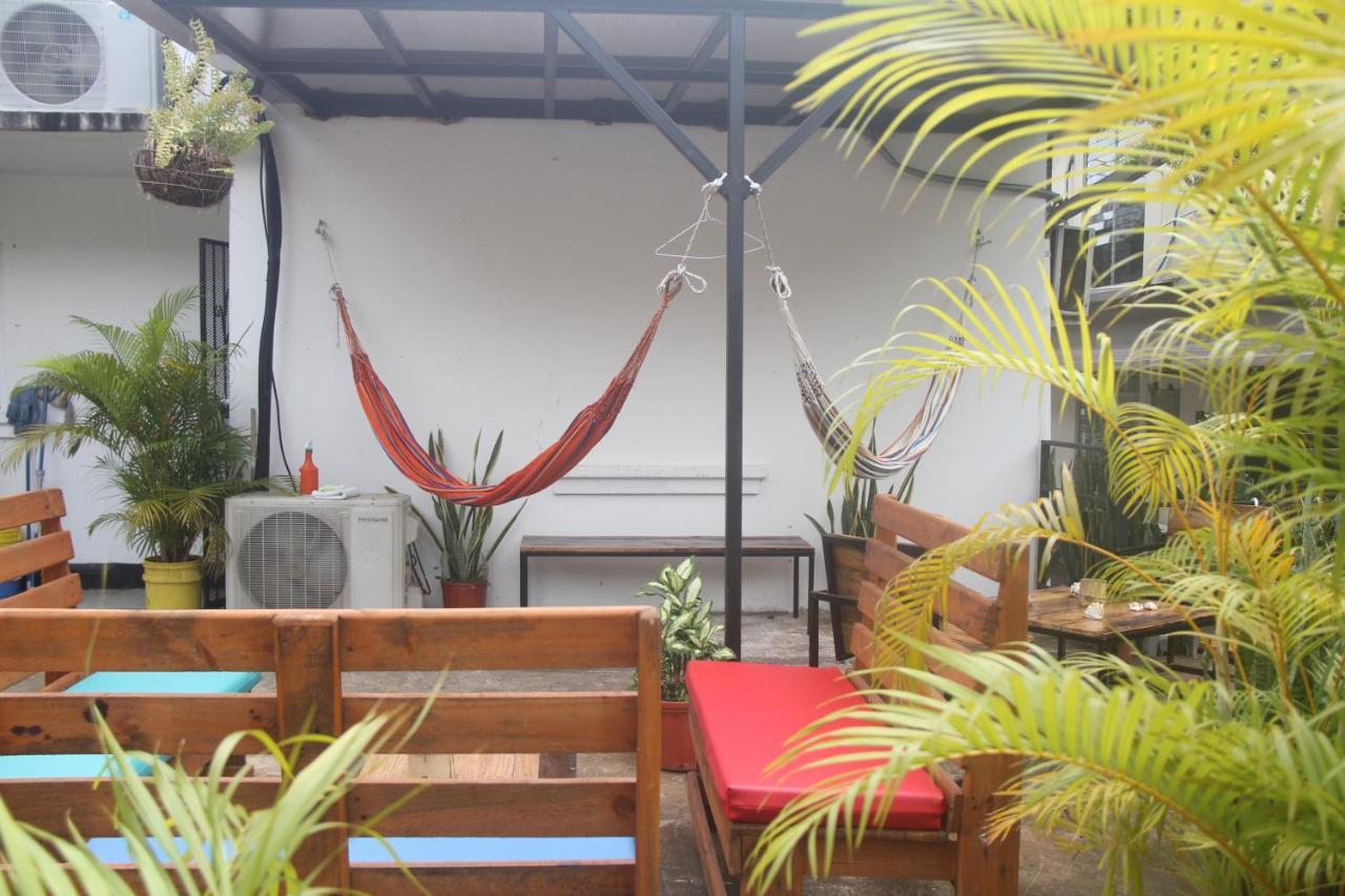 Eden'S Garden Hostel パナマ・シティー エクステリア 写真