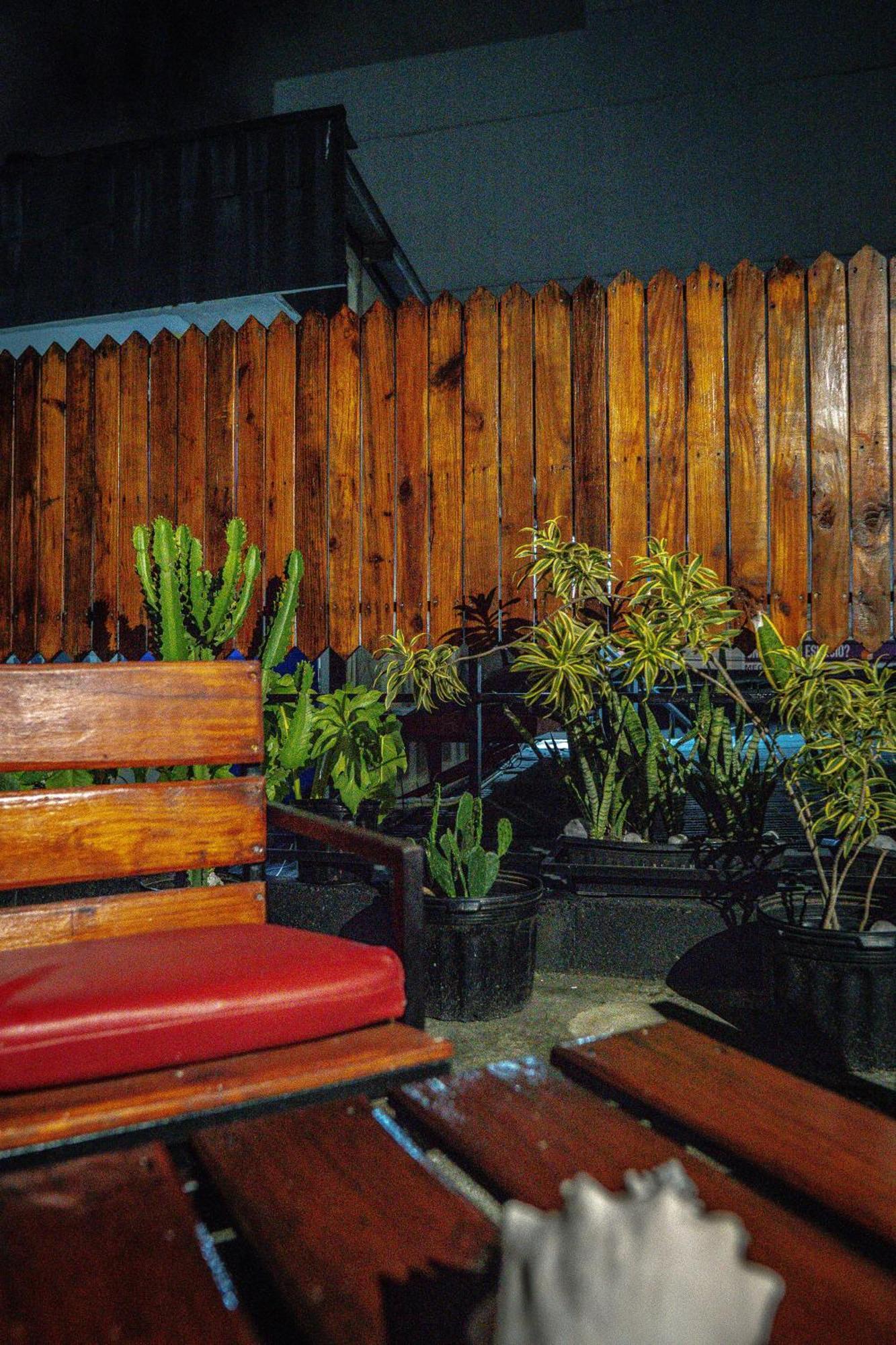 Eden'S Garden Hostel パナマ・シティー エクステリア 写真